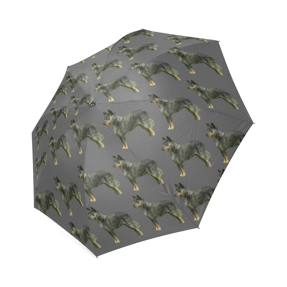Australian Cattle Dog Umbrella - Grey