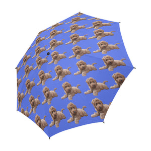 Labradoodle Umbrella - Blue