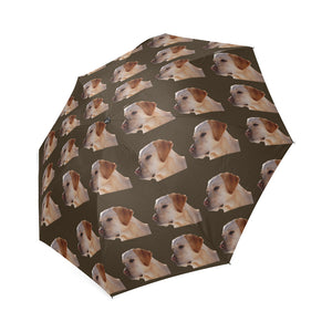 Yellow Labrador Umbrella