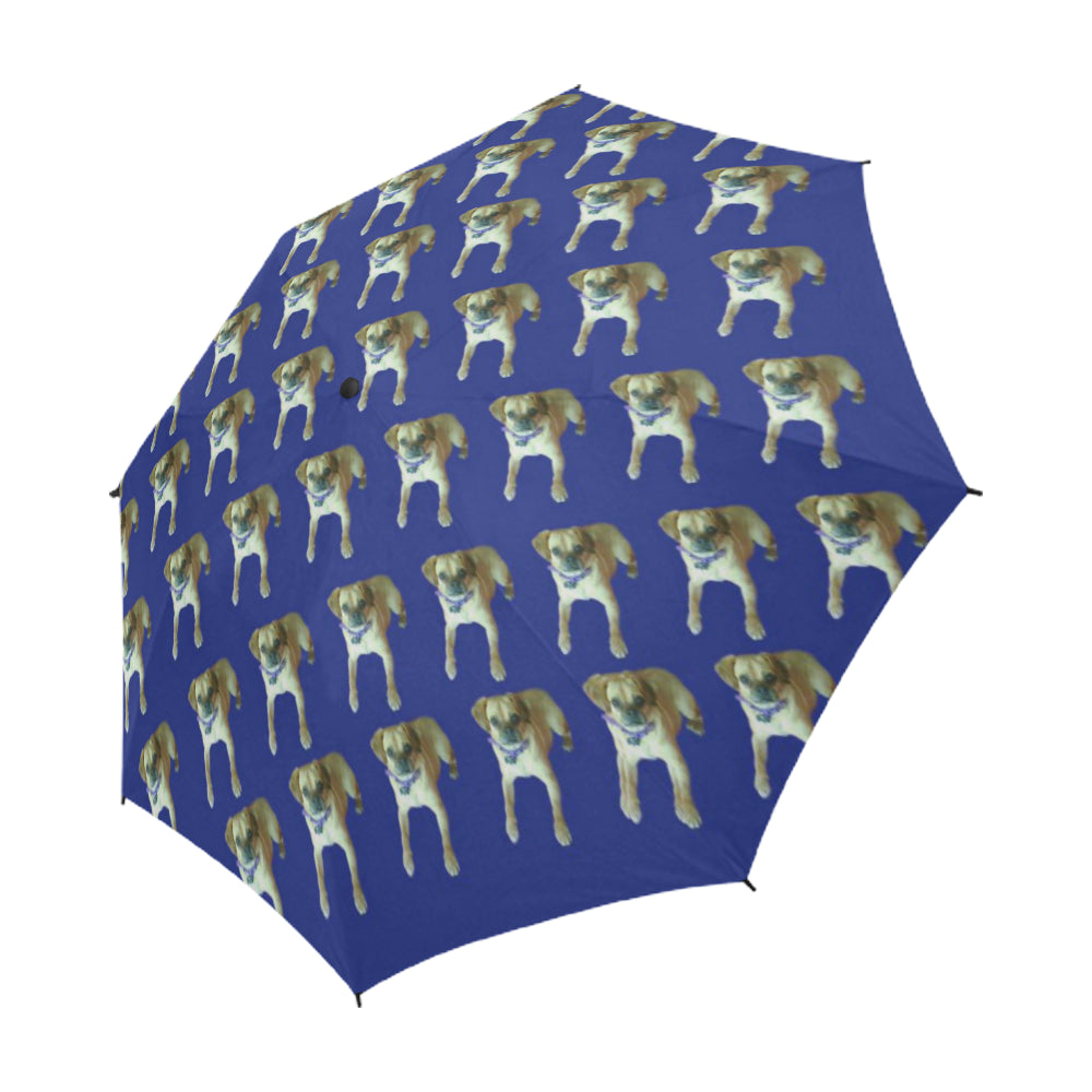 Puggle Umbrella