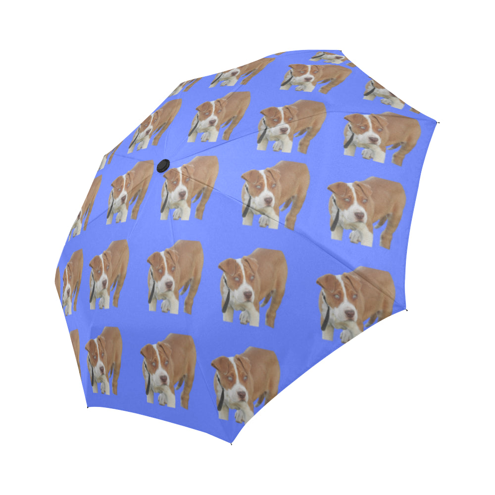 Pitbull Umbrella - Blue auto open &amp; close