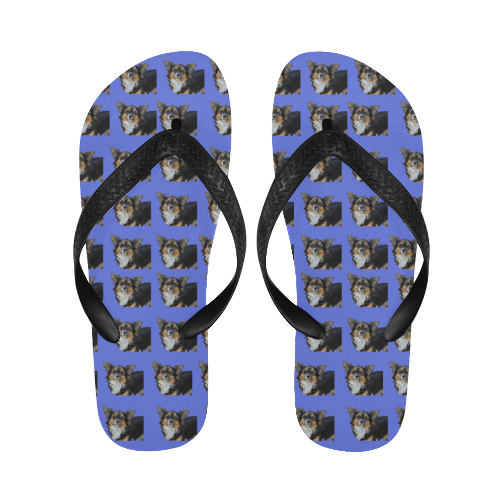 Chihuahua Flip Flops - Long Hair