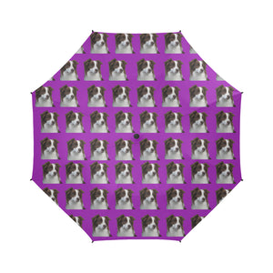 Border Collie Umbrella - Purple