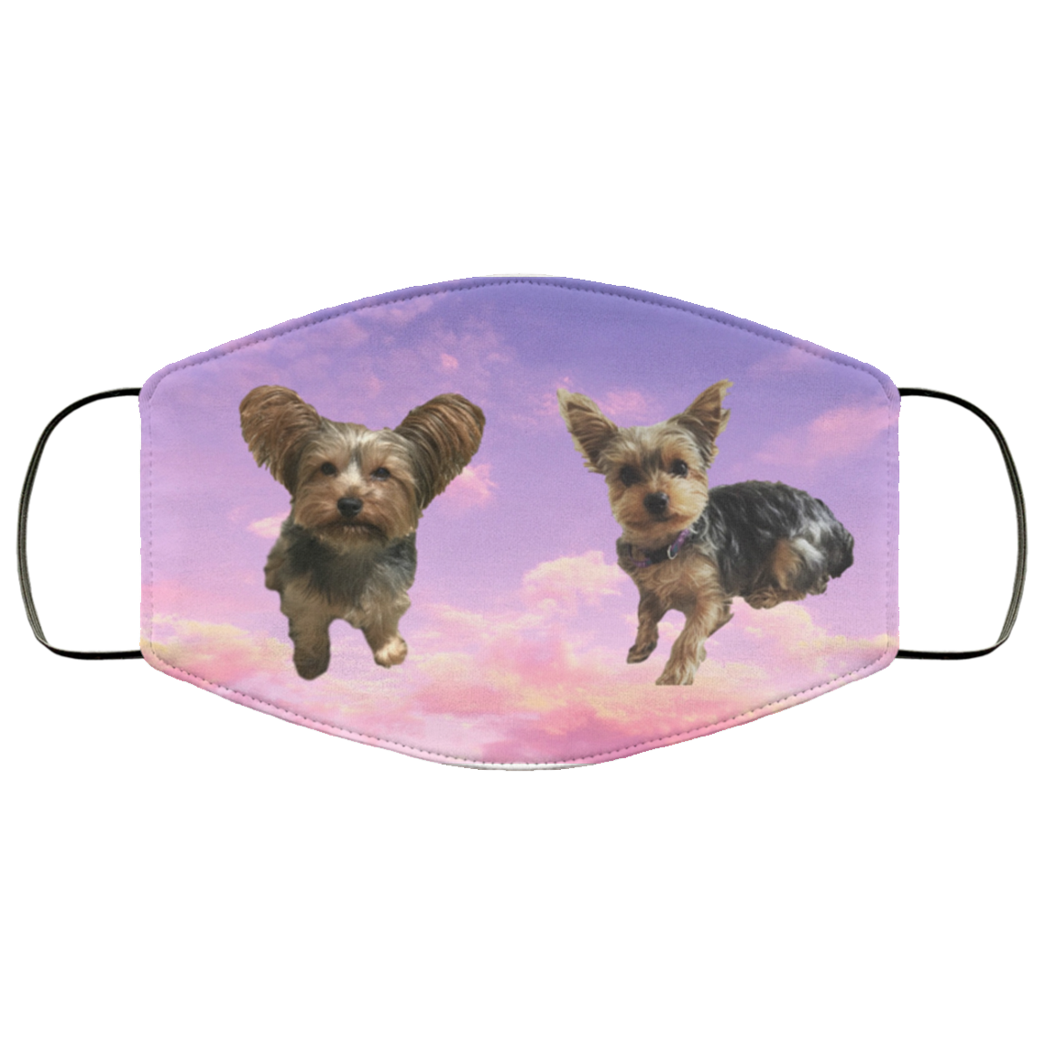 Yorkie Face Cover - B&B