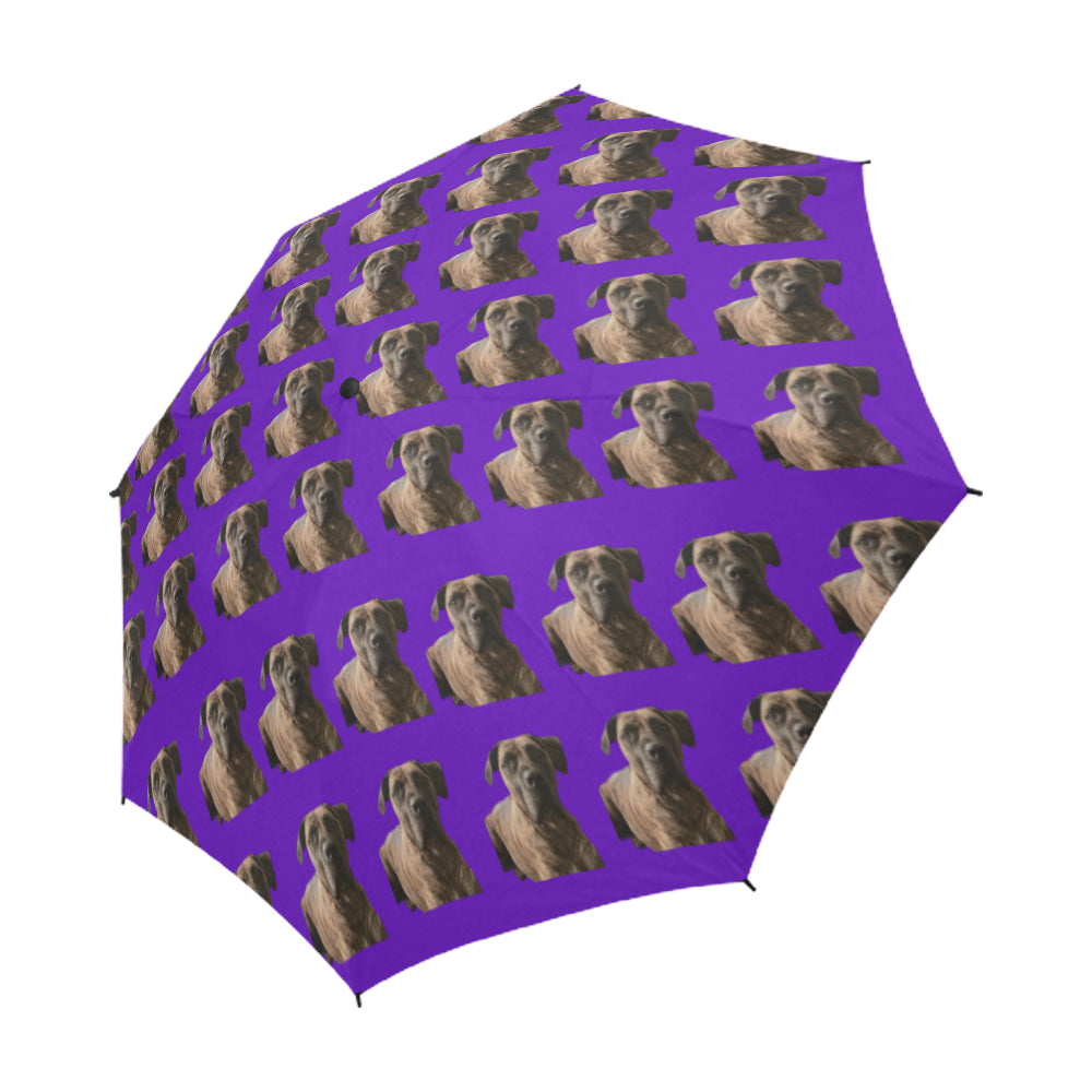 Boerboel/South African Mastiff Umbrella - Purple