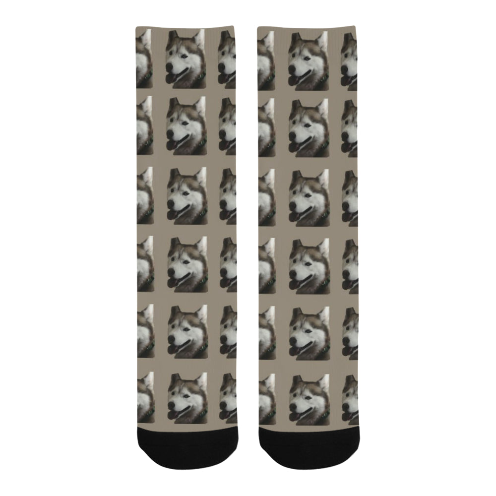 Sally's Dog Socks