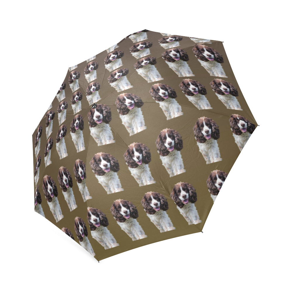 English Springer Spaniel Umbrella