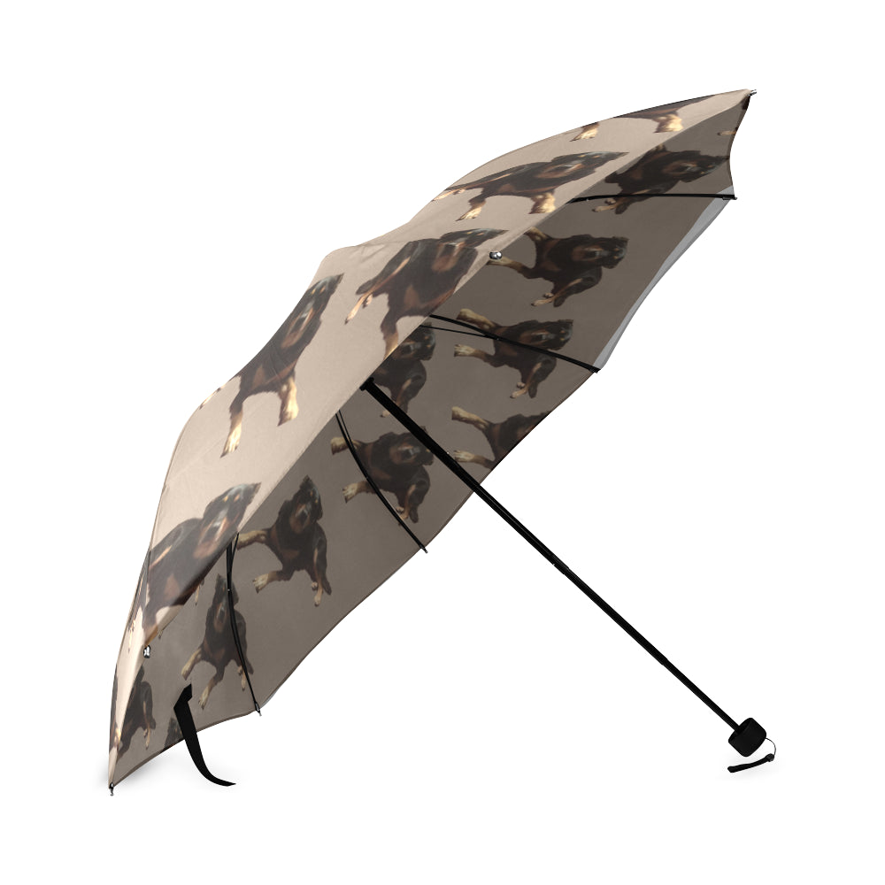 Australian Kelpie Umbrella