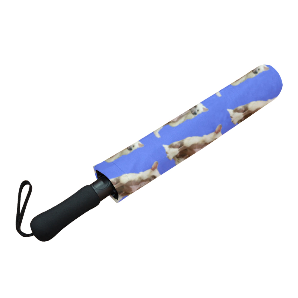 Chinese Crested Umbrella - Semi Automatic