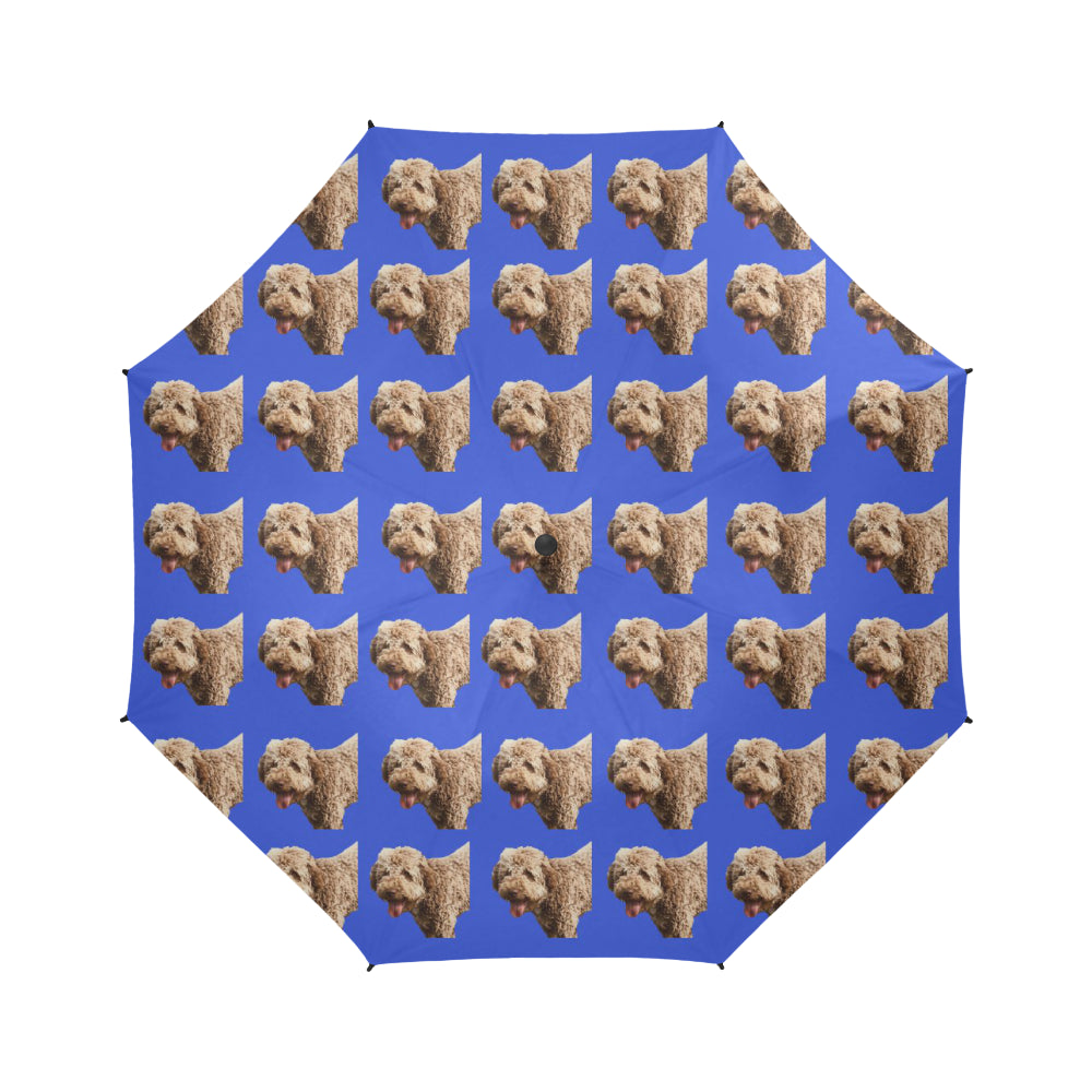 Lagotto Romagnolo Umbrella