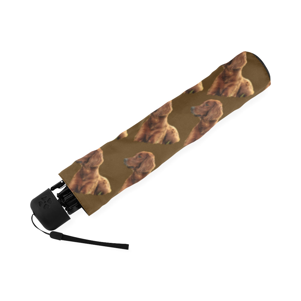 Irish Setter Umbrella