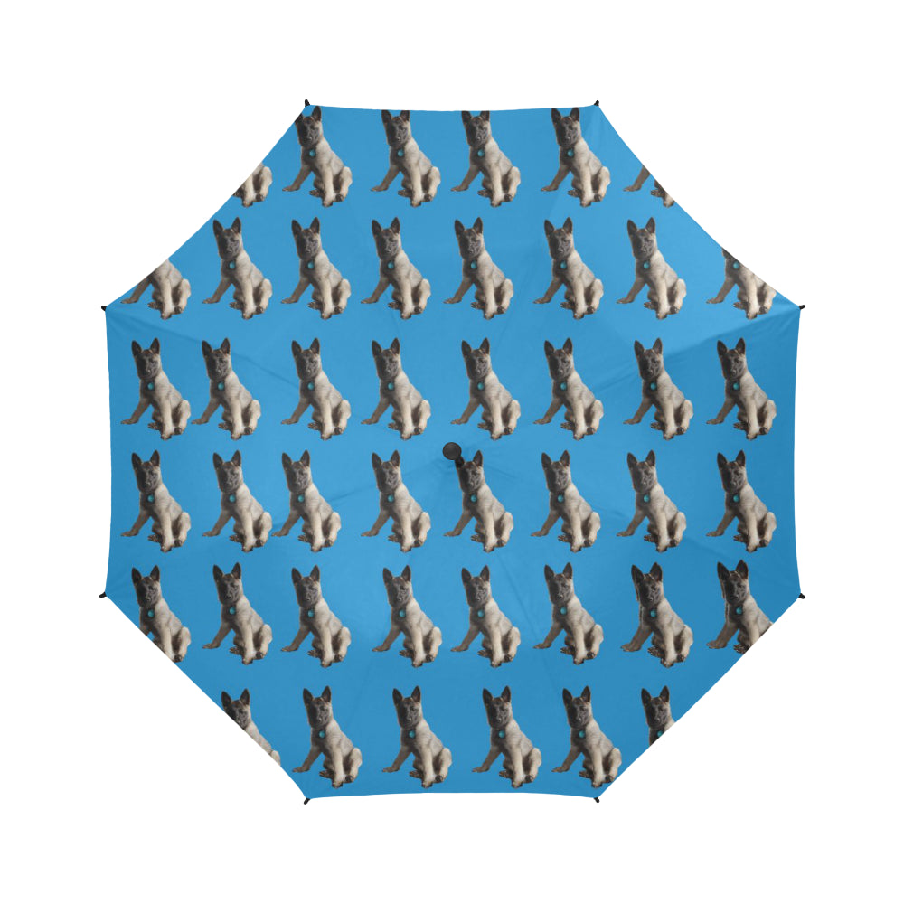 Marci's Dog Umbrella