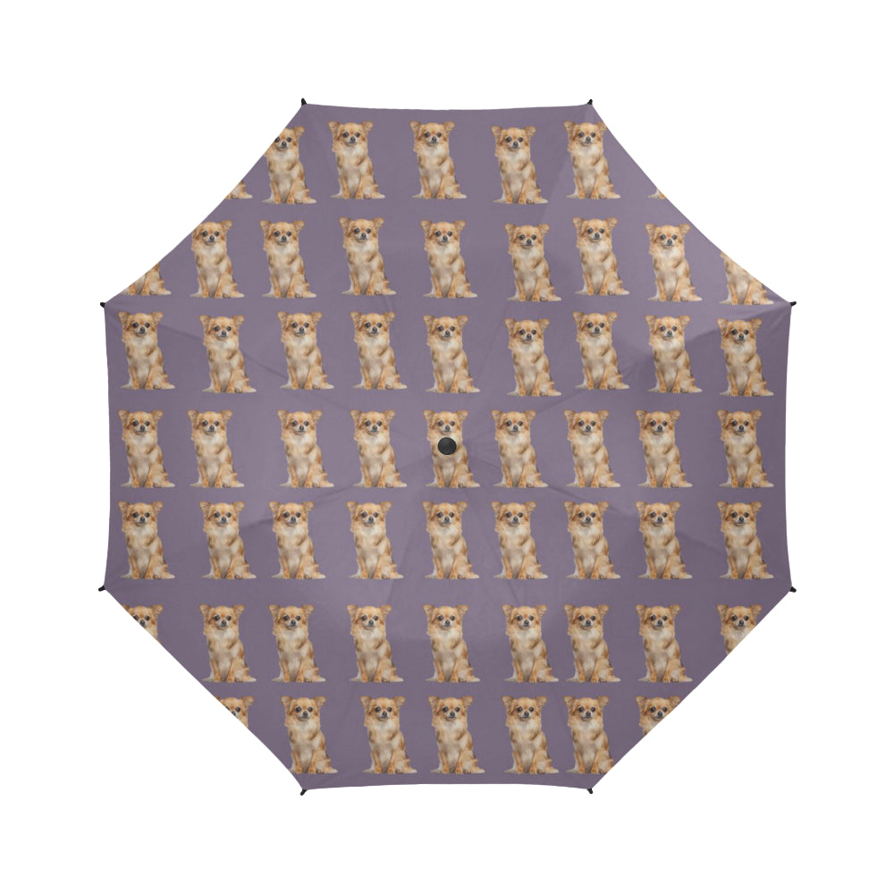 Chihuahua Umbrella - Fawn Long Hair - Semi Automatic