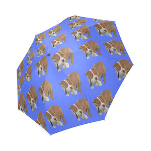 Pitbull Umbrella - Blue