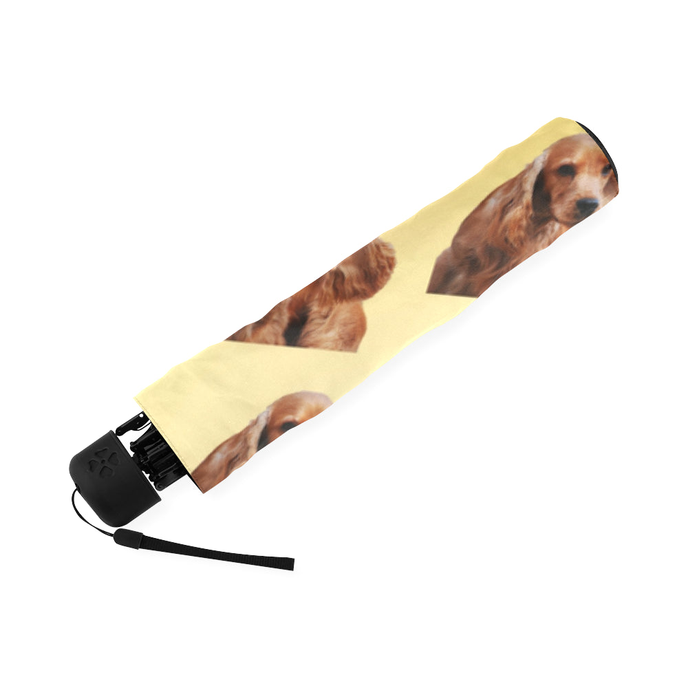 Cocker Spaniel Umbrella - American