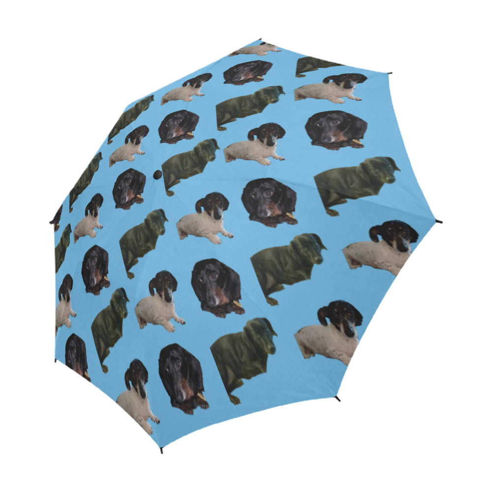 Dachshund Mix Umbrella