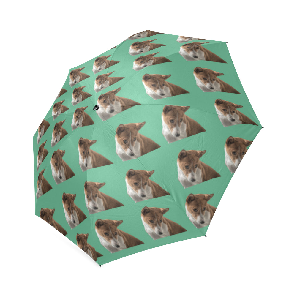 Basenji Umbrella