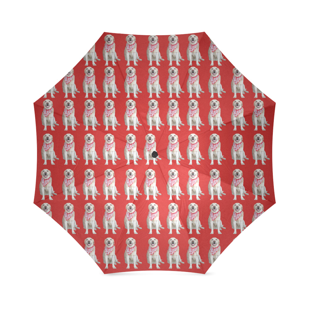 Labrador Umbrella - Red - Cathy Ann's Deals