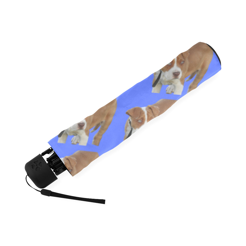 Pitbull Umbrella - Blue