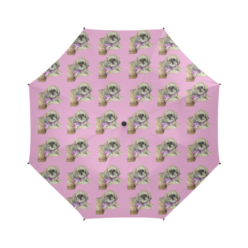 Shih Poo Umbrella - Pat D