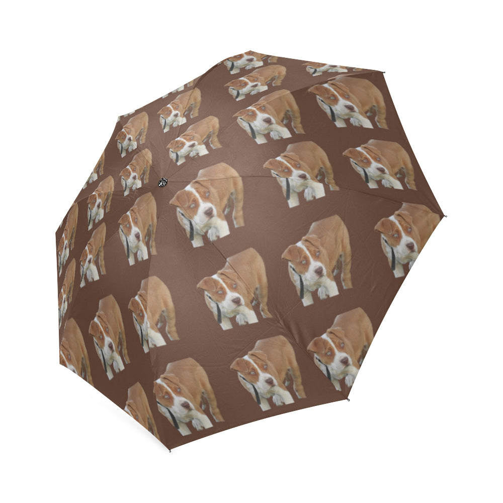 Pitbull Umbrella