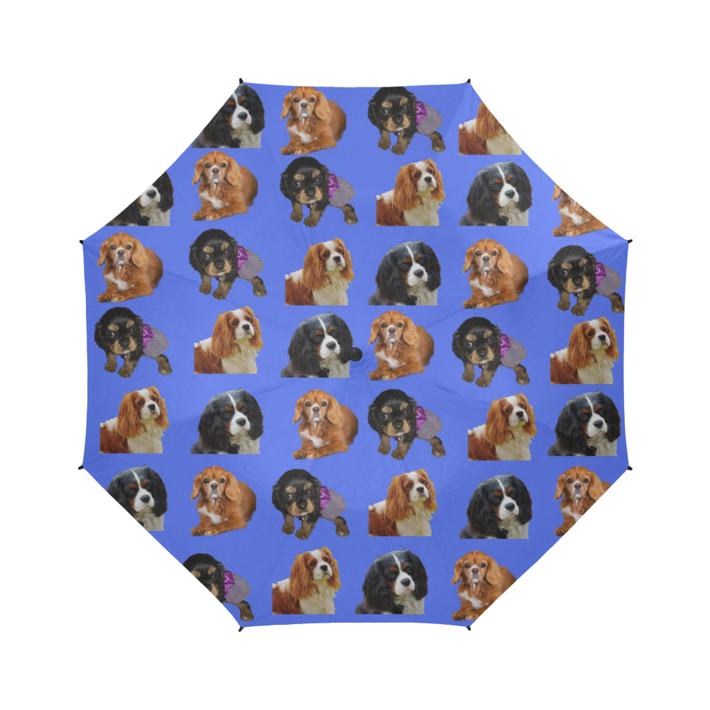 Cavalier King Charles Spaniel Umbrella - All