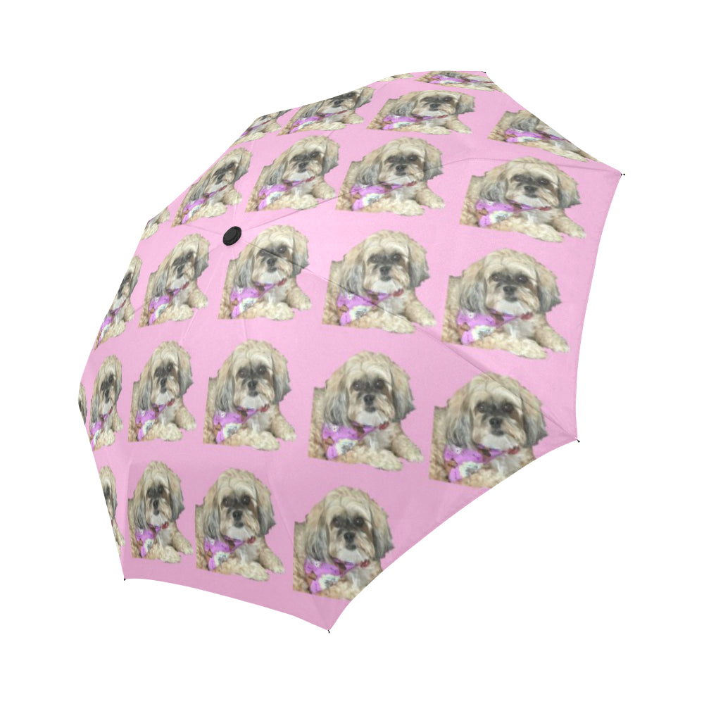 Shih Poo Umbrella - Pat D Auto