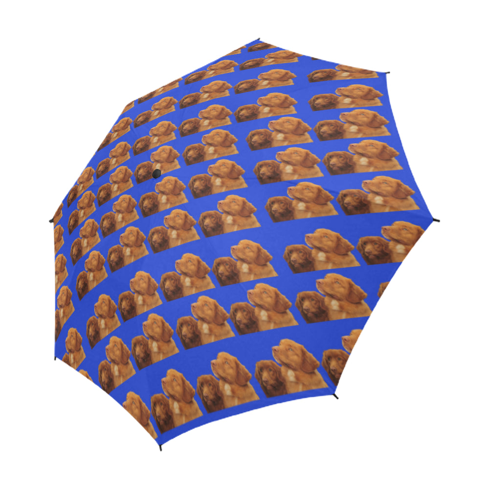 Nova Scotia Duck Tolling Retriever Umbrella