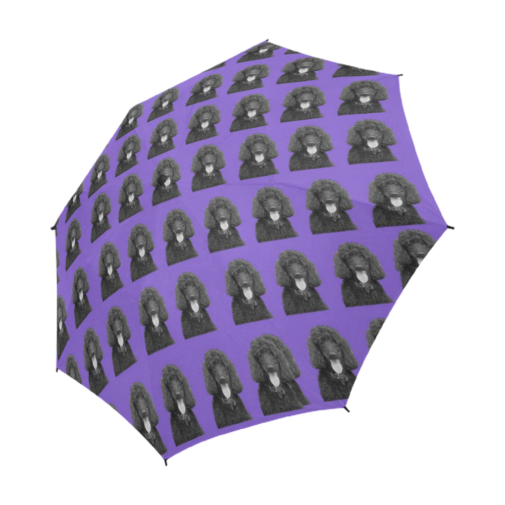 Poodle Umbrella - Black Standard Automatic Open