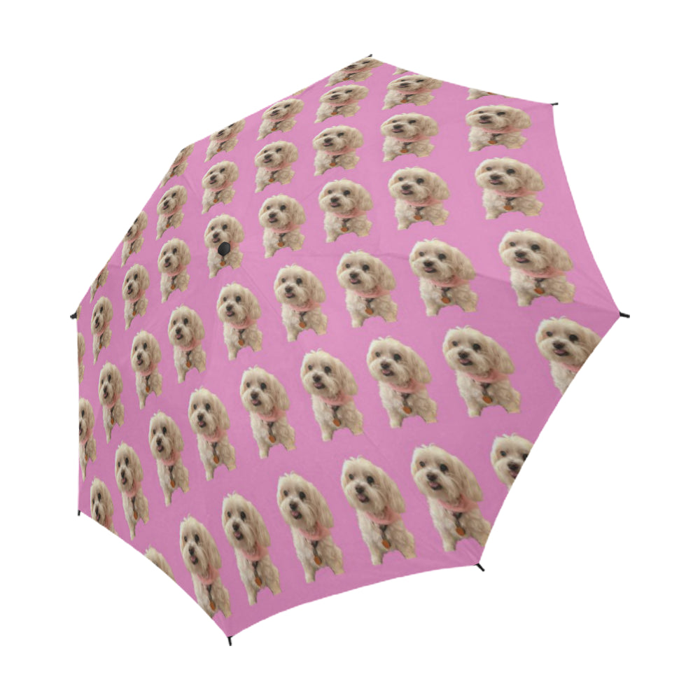 Maltese Umbrella - Shelby