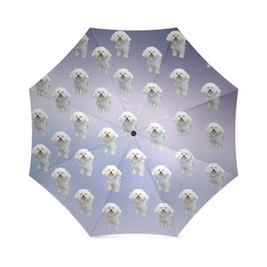 Bichon Frise Umbrella