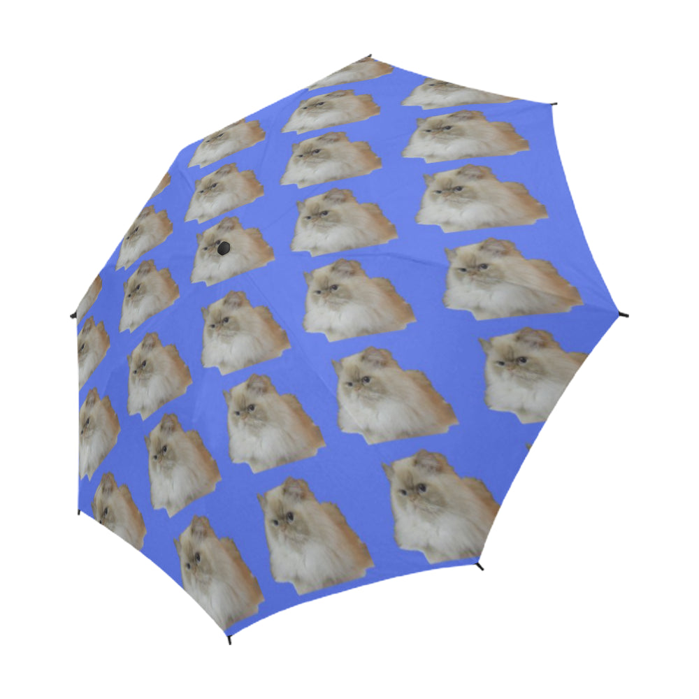 Flame Pointed Rag Doll Cat Umbrella