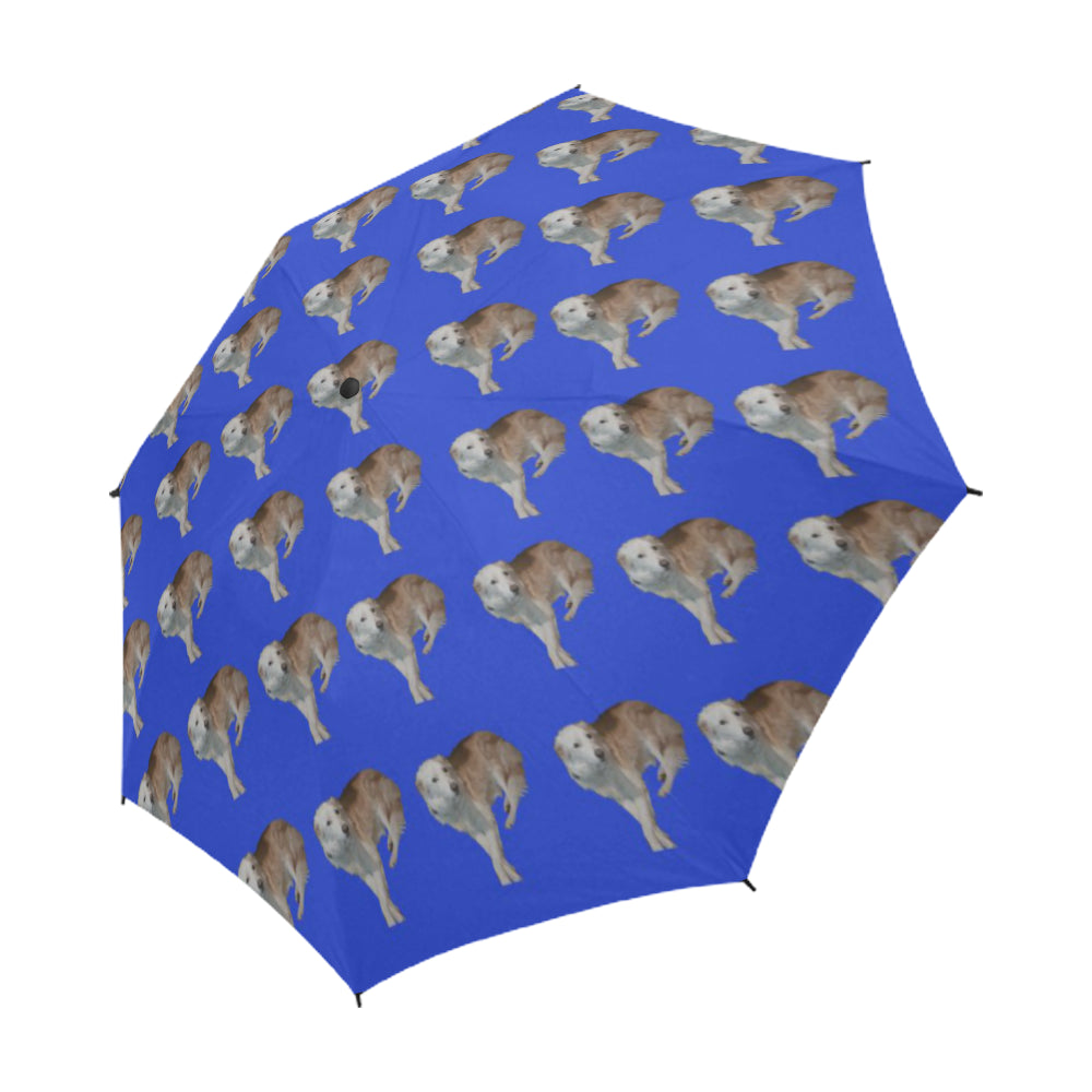 Wheaten Border Collie Umbrella - Casper Semi Auto