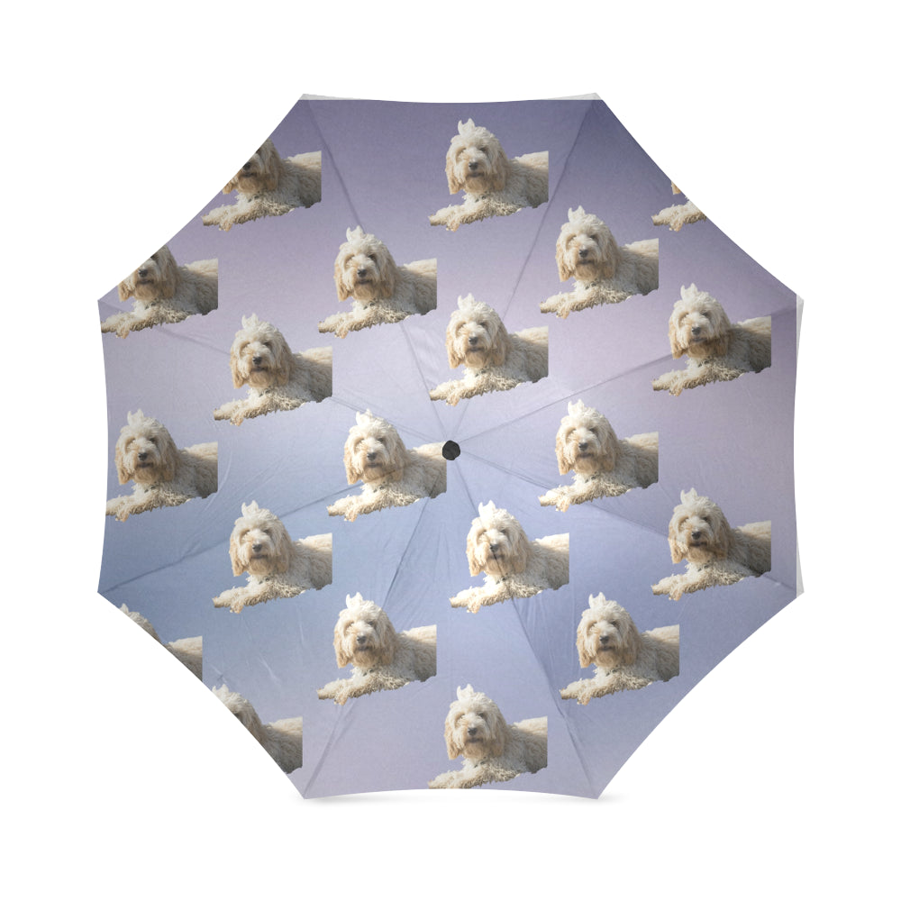 Cockapoo/Spoodle Umbrella
