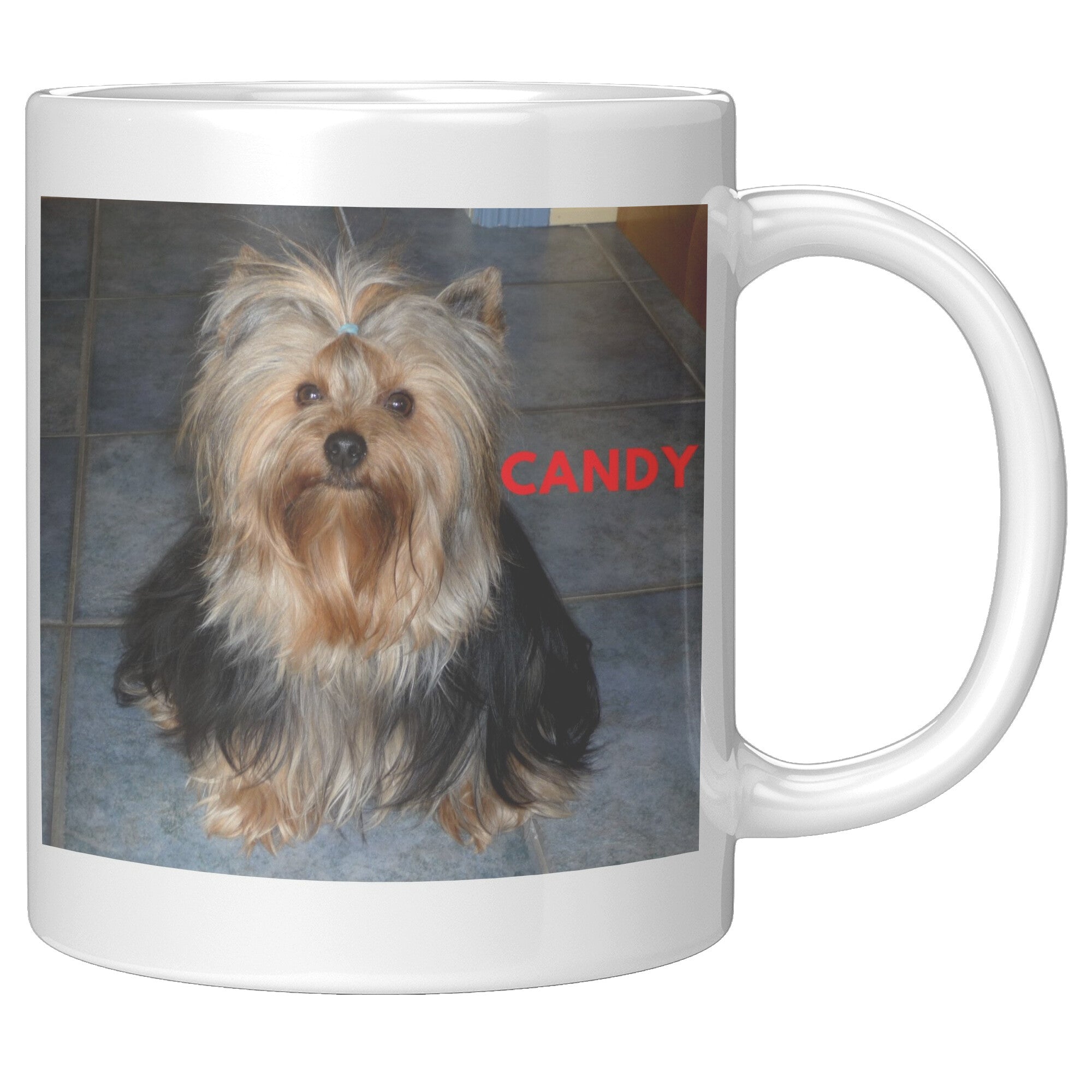 Nicole's Candy Mug 2