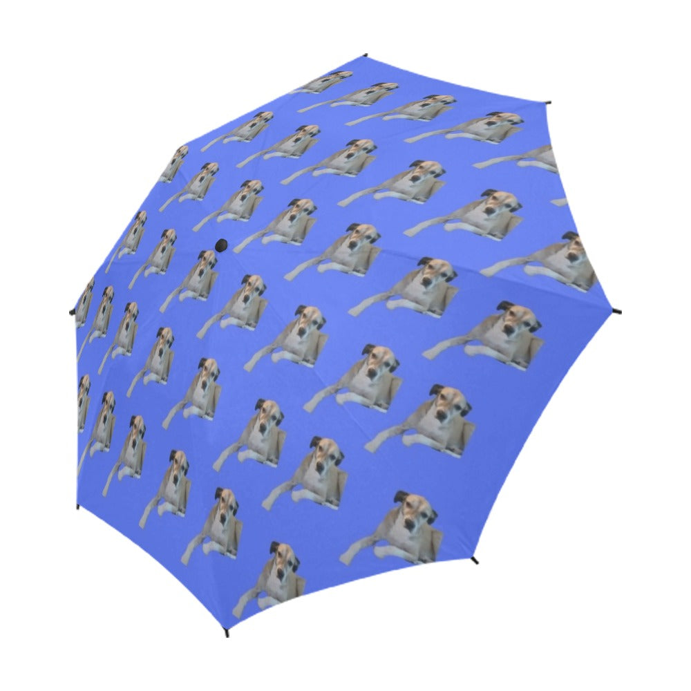 William's Dog Umbrella