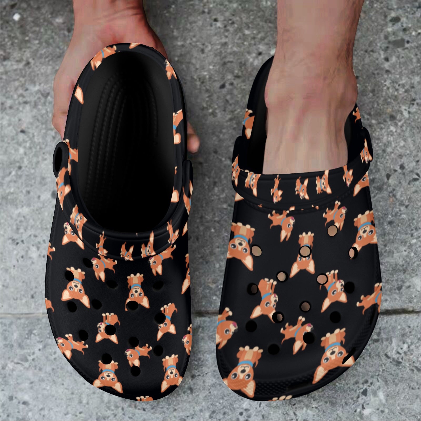 Chihuahua Clogs