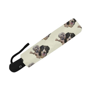 Border Collie & Poodle Umbrella - Automatic Suzanna