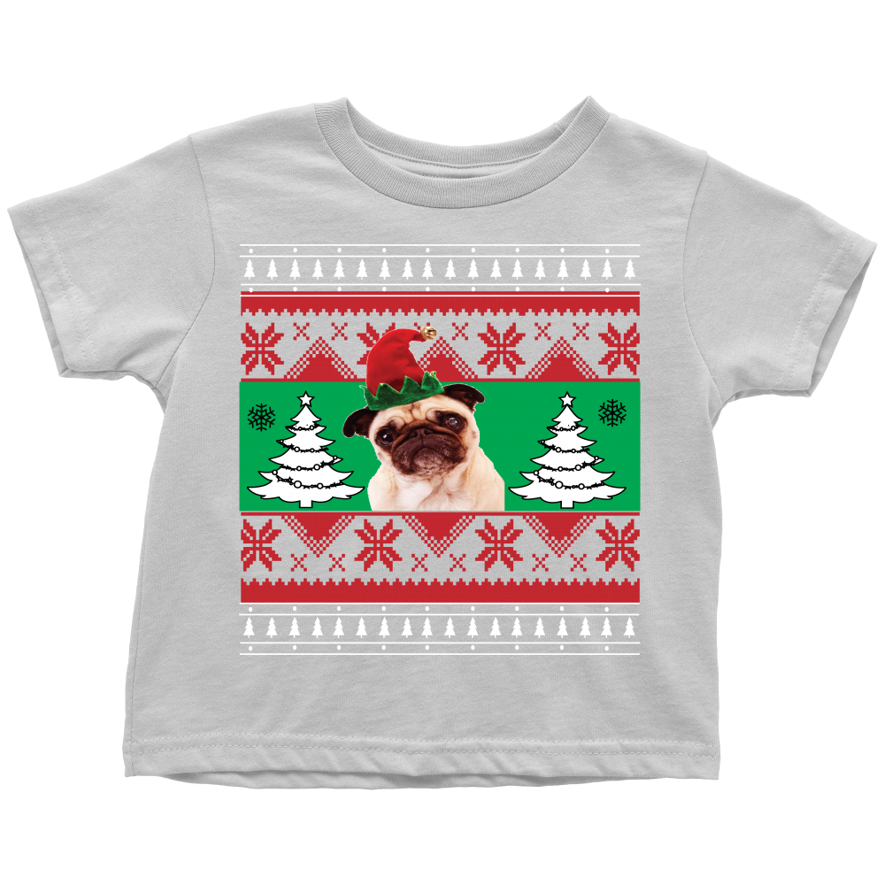 Pug Holiday Shirt/Sweatshirt