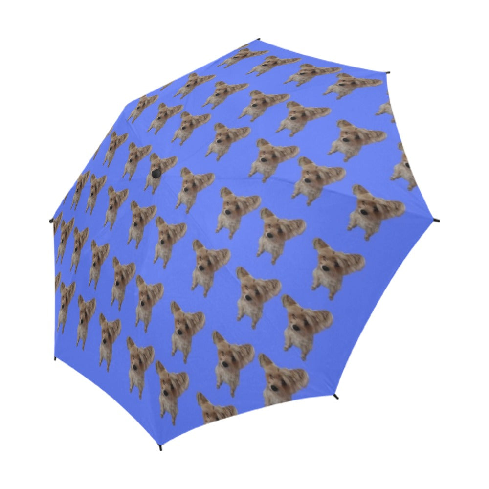 Yorkie Umbrella - William