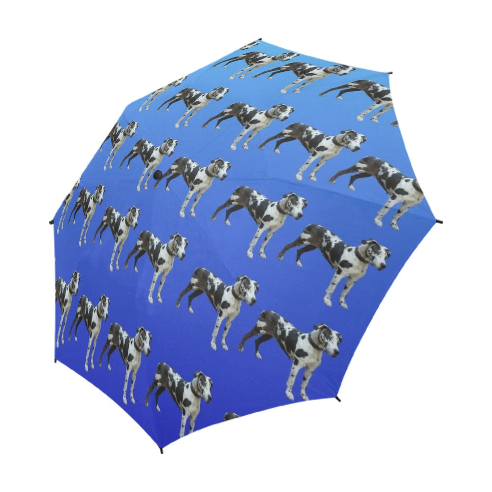 Harlequin Great Dane Umbrella