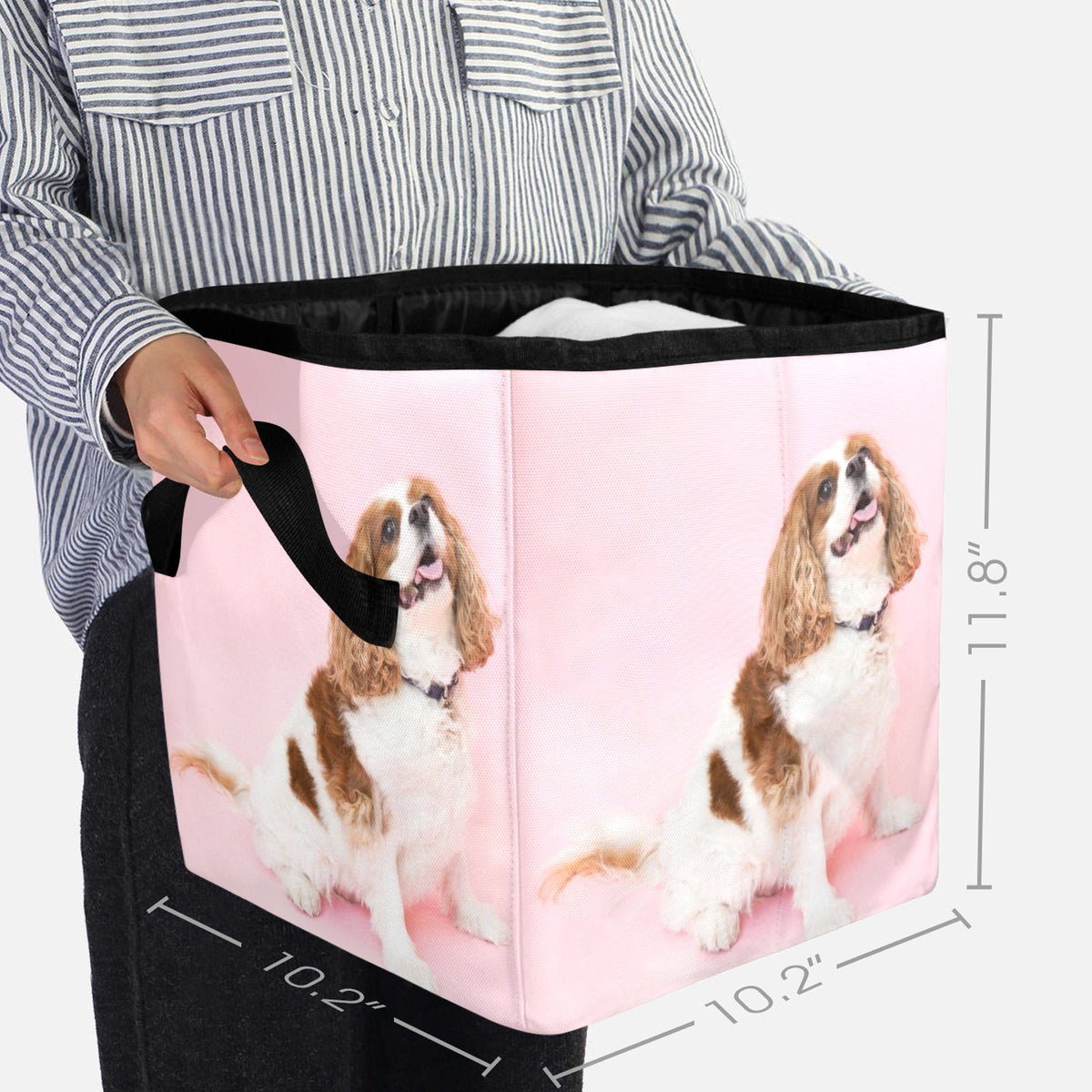 Cavalier King Charles Spaniel Storage Basket