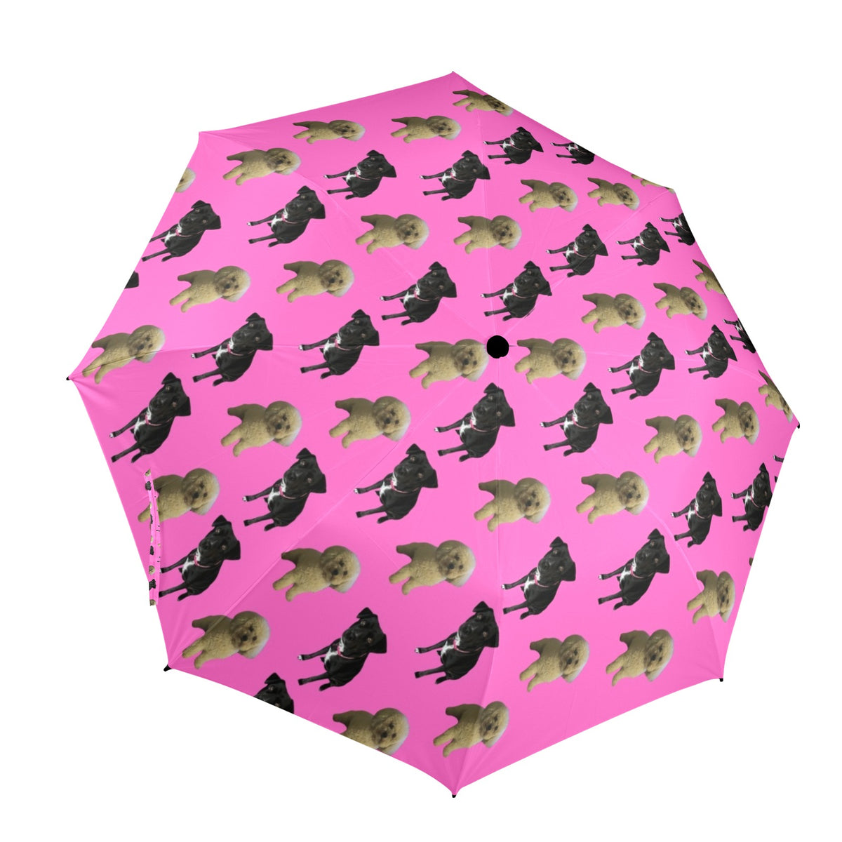 Linda&#39;s Dog Umbrella