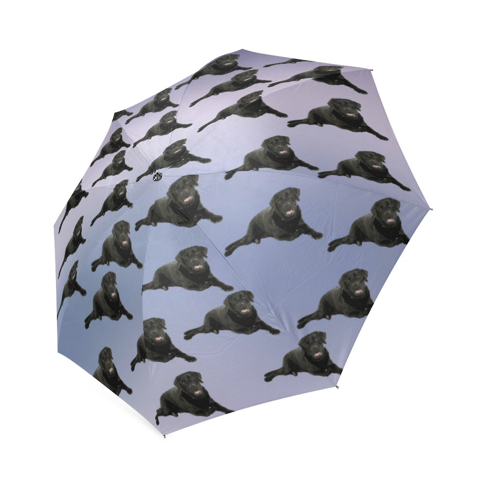 Black Lab Umbrellas