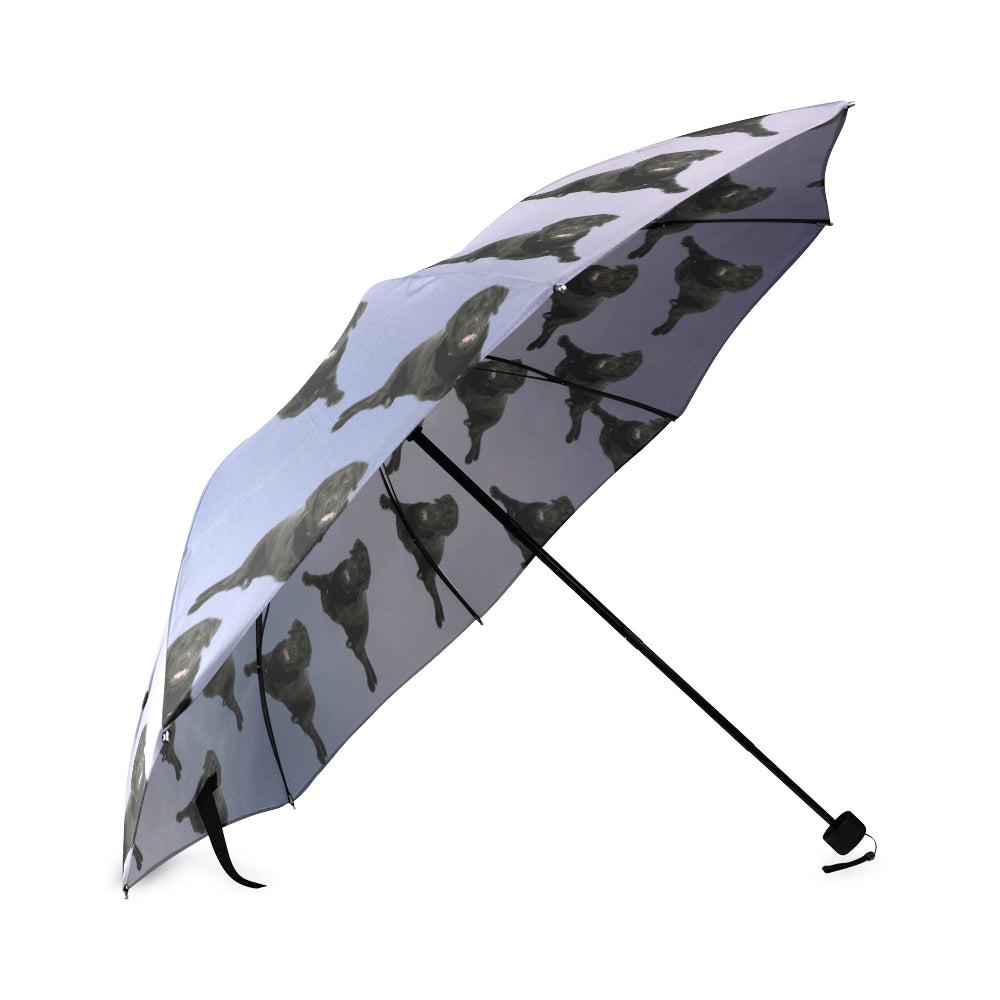 Black Labrador Umbrella