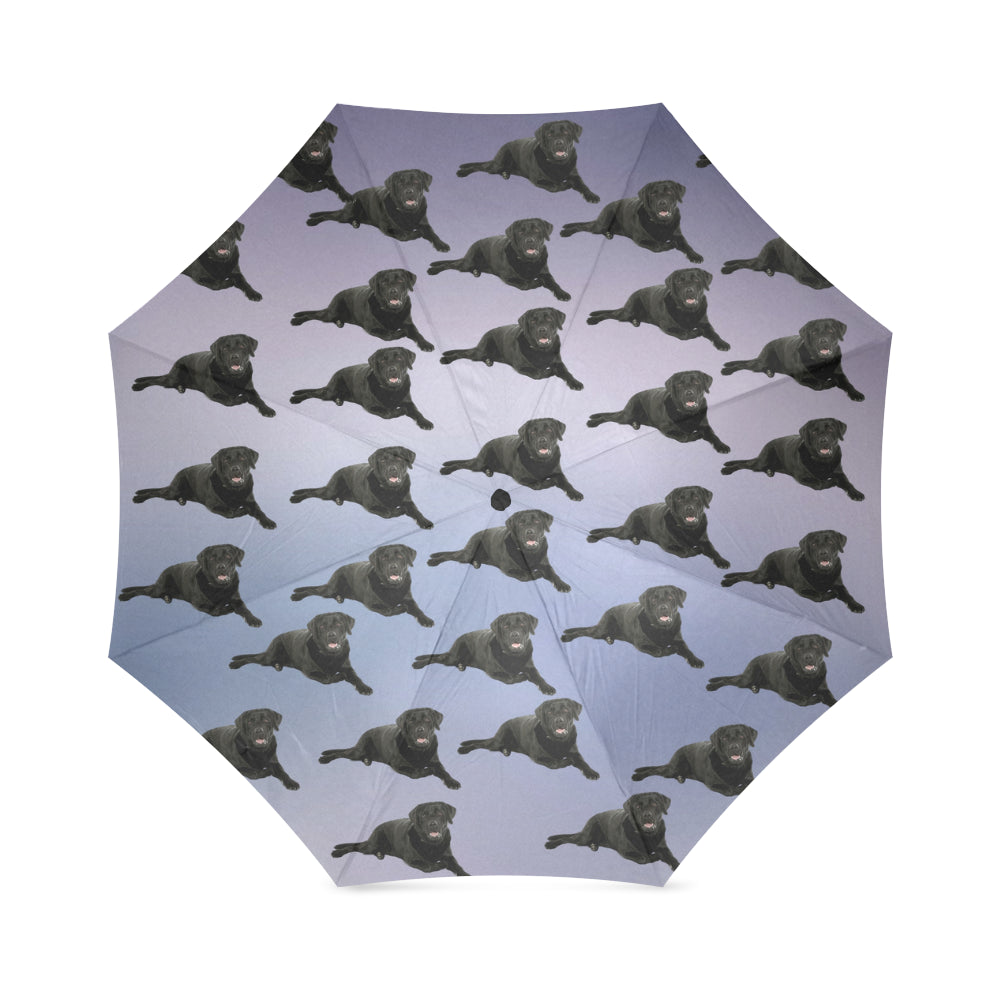 Black Labrador Umbrella