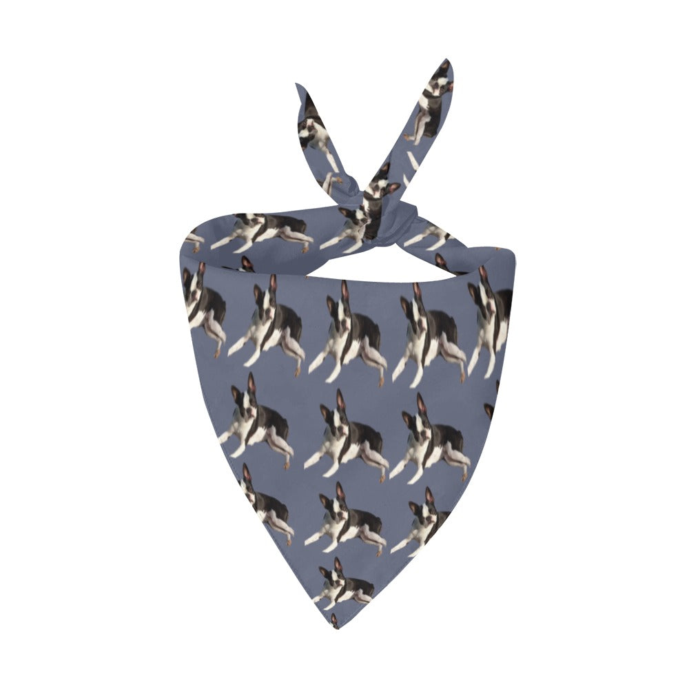 Boston Terrier Pet Bandana