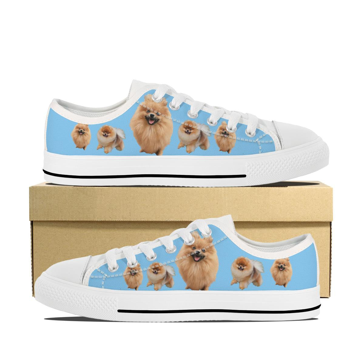 POMERANIAN CANVAS SHOES