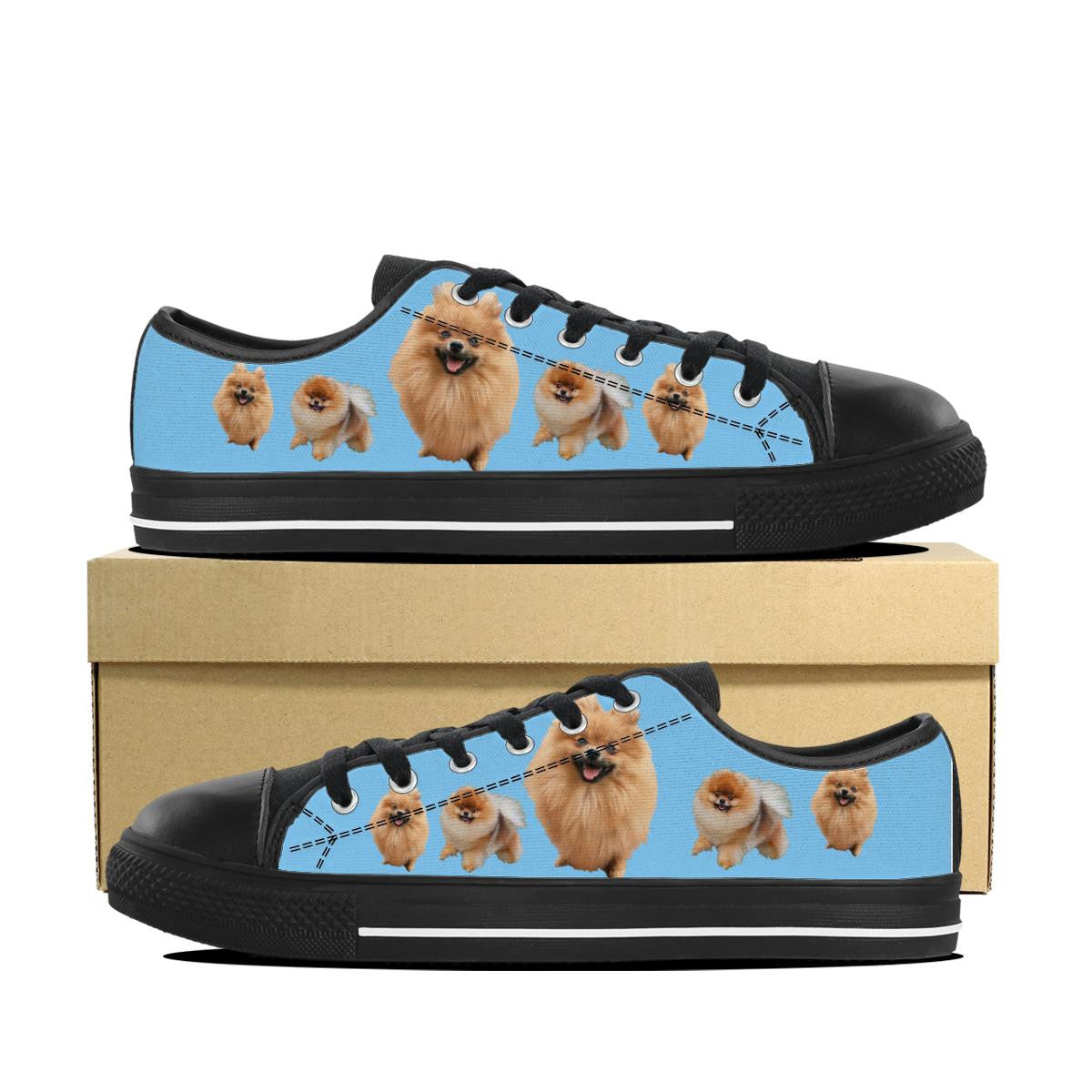 POMERANIAN CANVAS SHOES