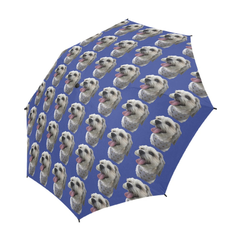 Maltese/Shih Tzu Umbrella - Blue